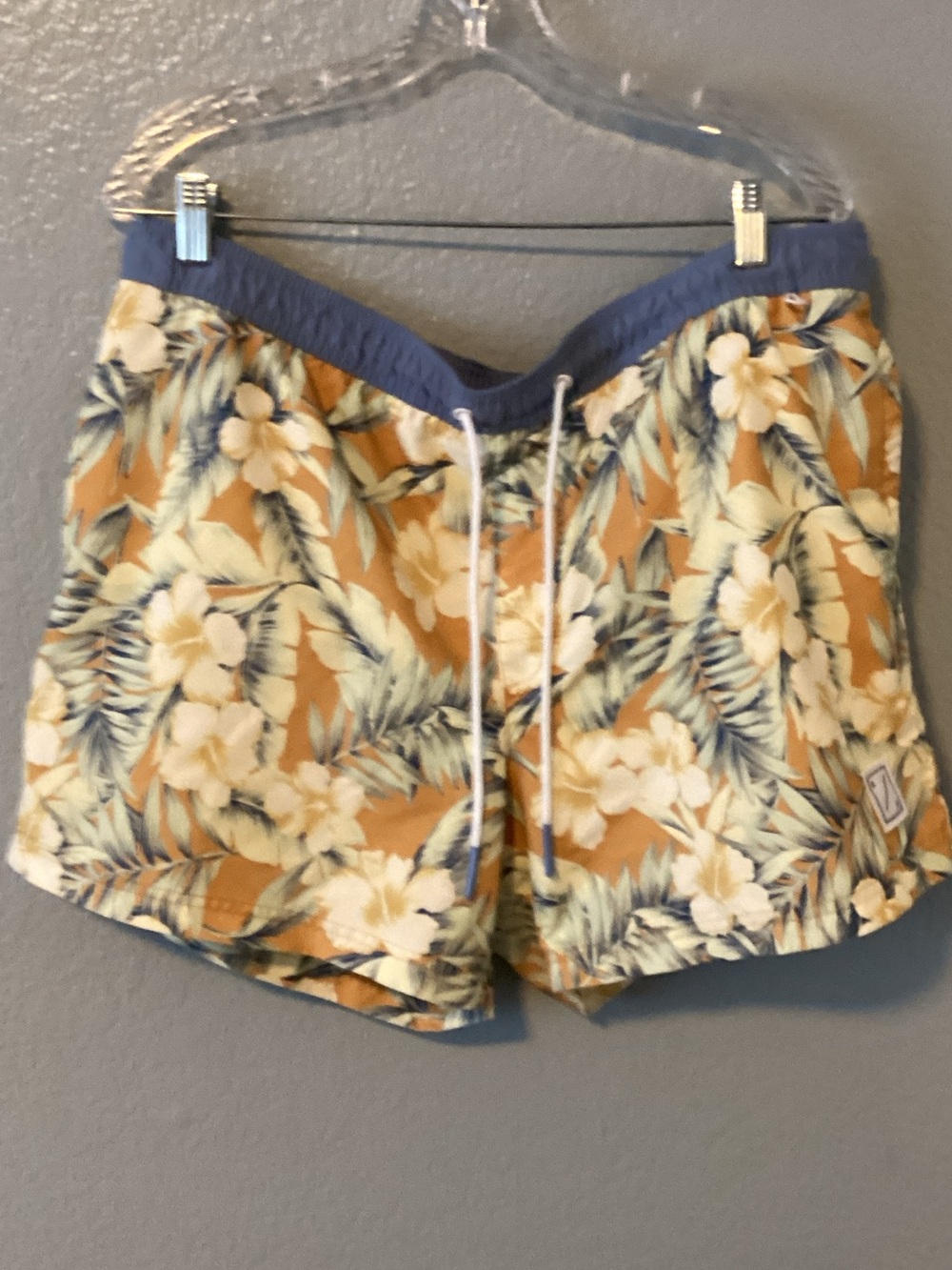 American Eagle Outfitters Swim Shorts